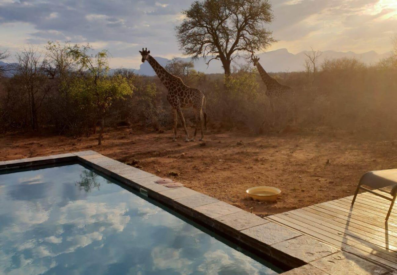 Villa in Hoedspruit - Villa Blaaskans