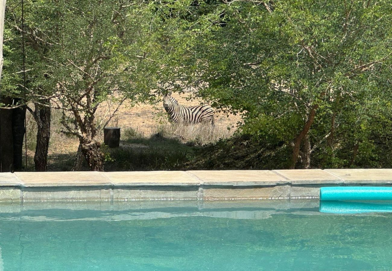 Villa in Hoedspruit - Villa Leadwood
