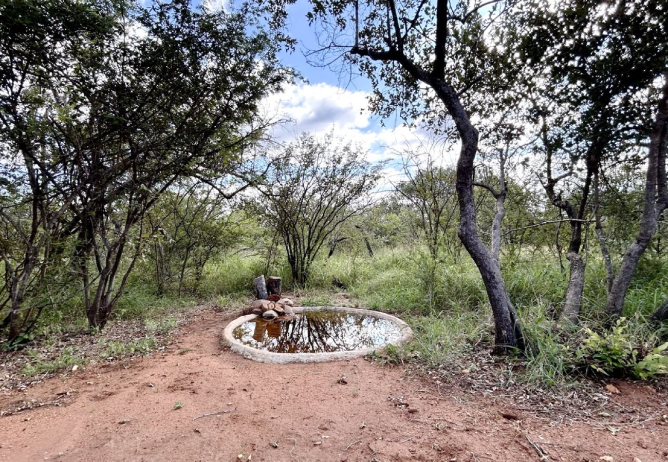 Villa in Hoedspruit - Villa Zawadi