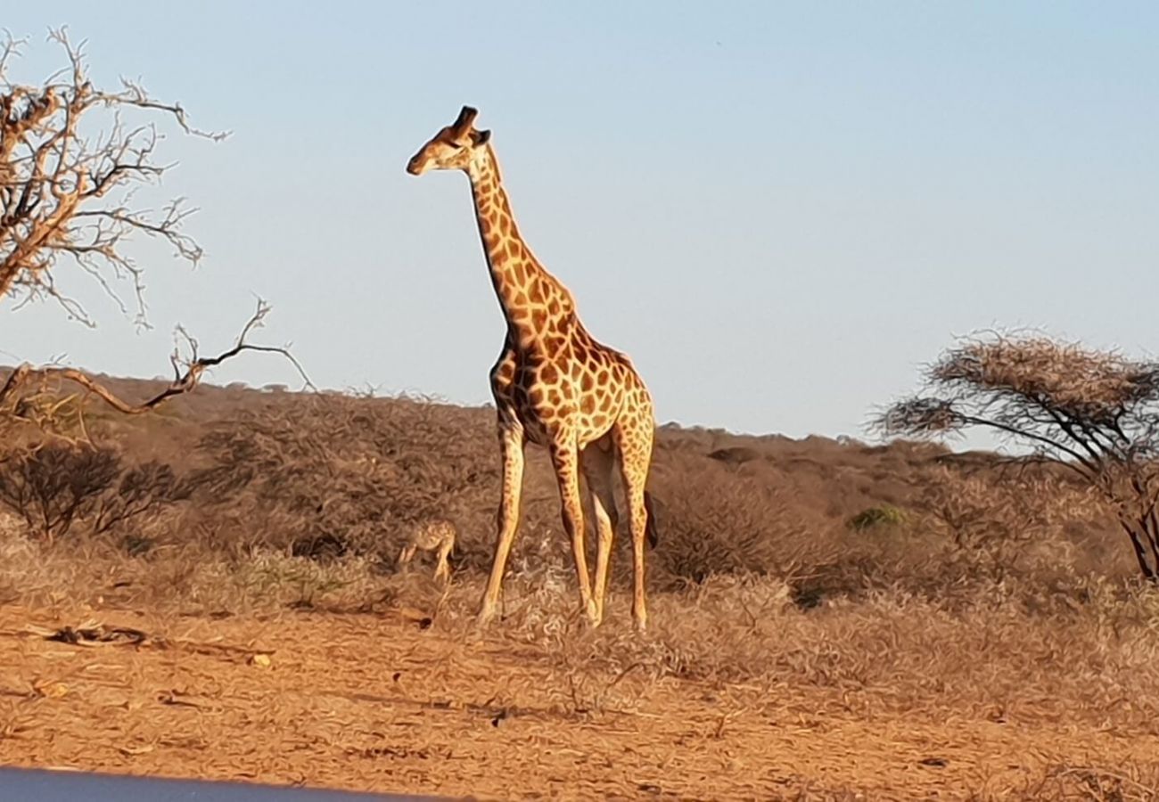 Villa in Hoedspruit - Villa Karibu