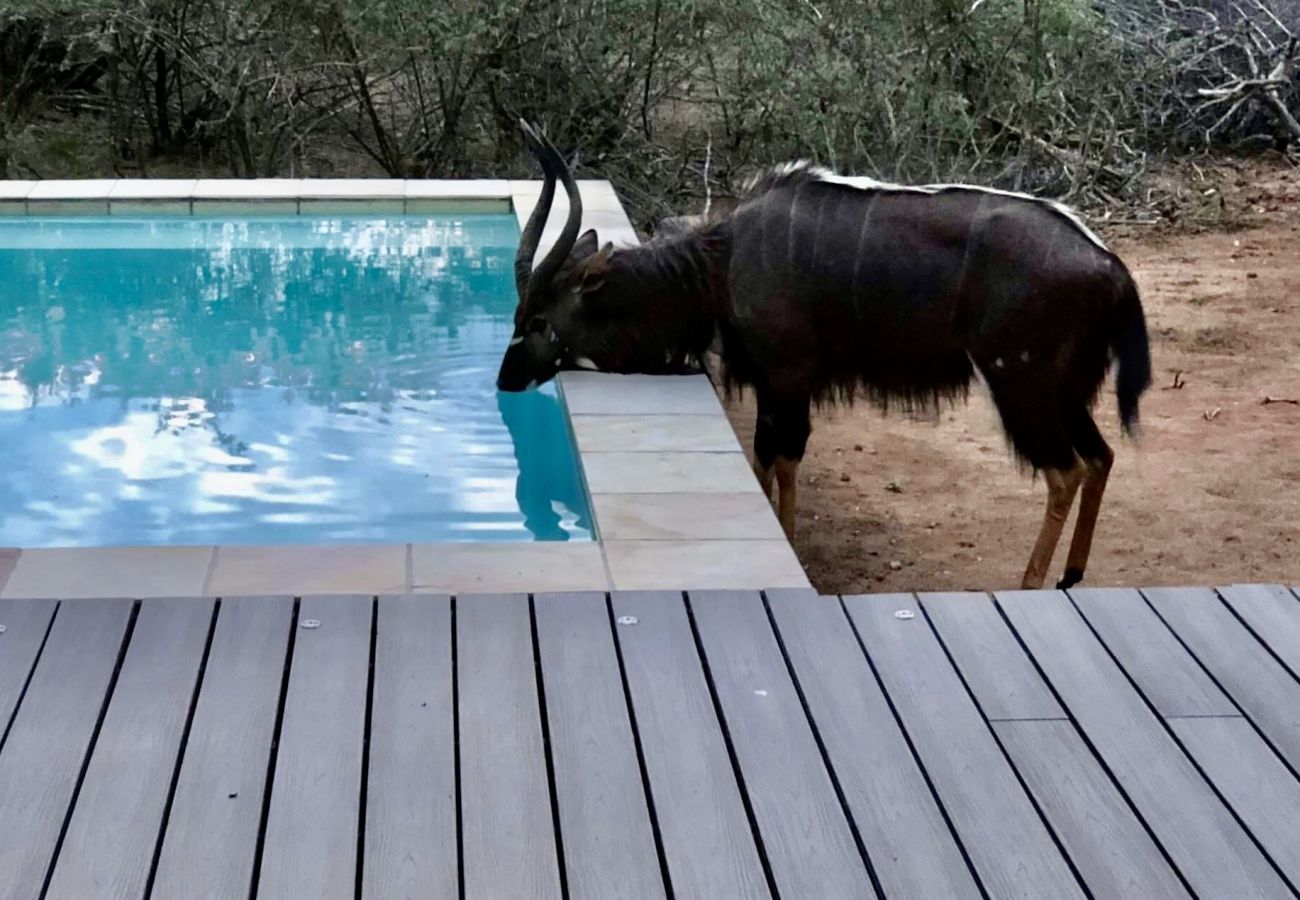 Villa in Hoedspruit - Villa Marula