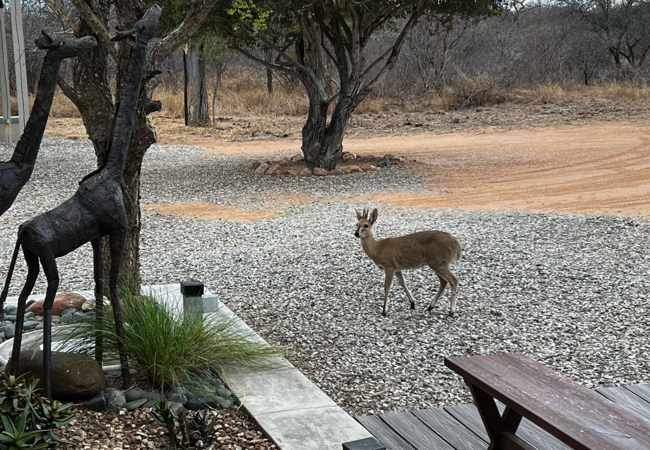 Villa in Hoedspruit - Villa Marula