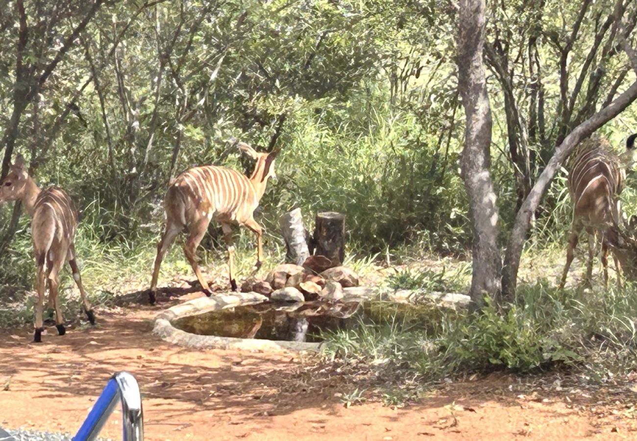 Villa in Hoedspruit - Villa Zawadi