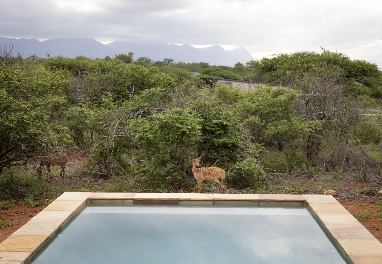 Villa in Hoedspruit - Villa Kolobe