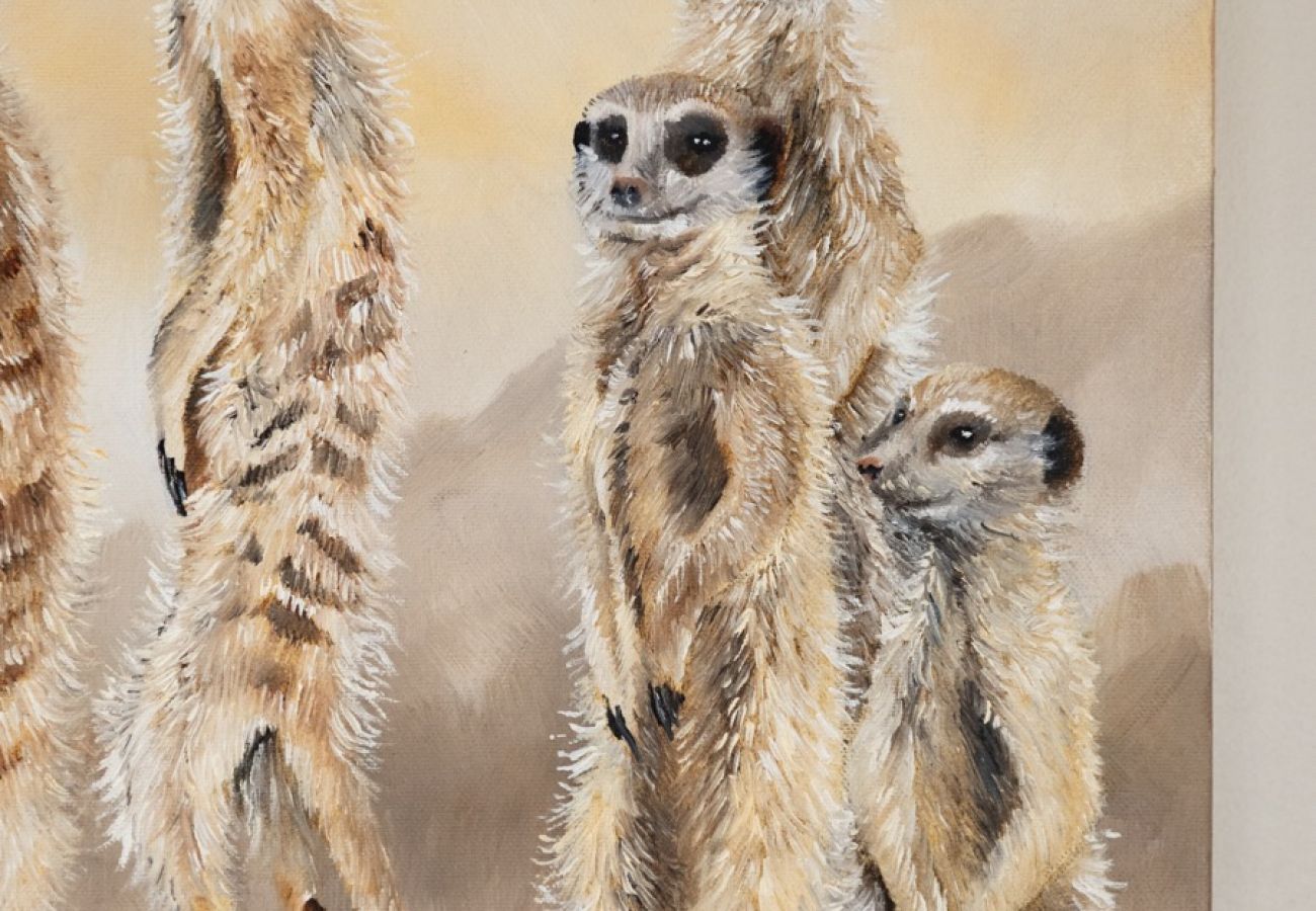 Villa in Hoedspruit - Villa Riviersig