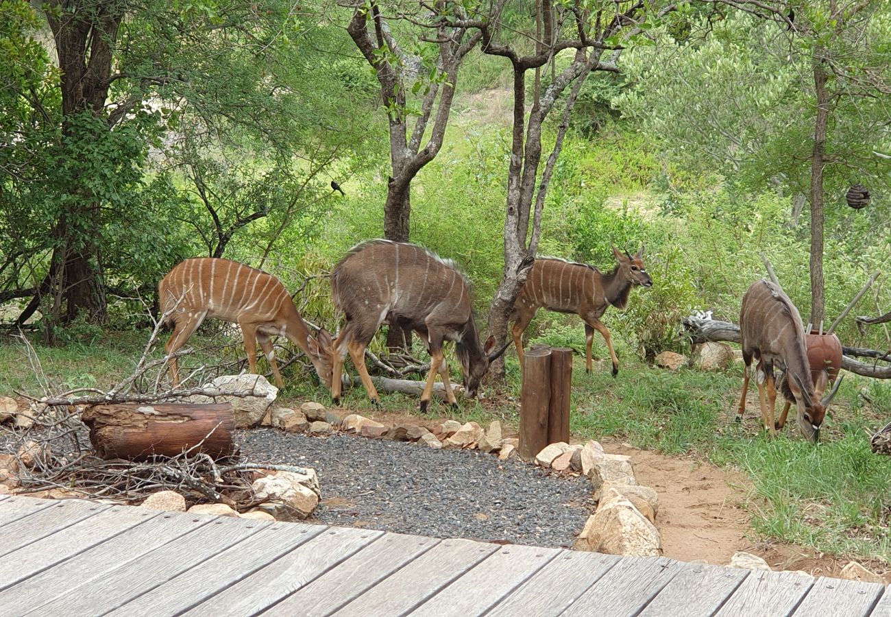 Villa in Hoedspruit - Villa Karibu