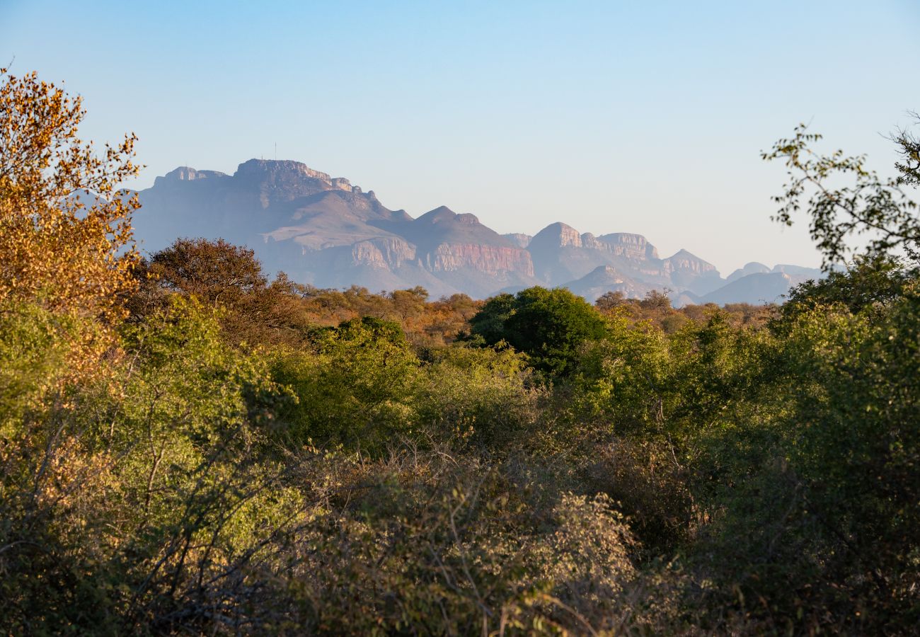 Villa in Hoedspruit - Villa Scarabee