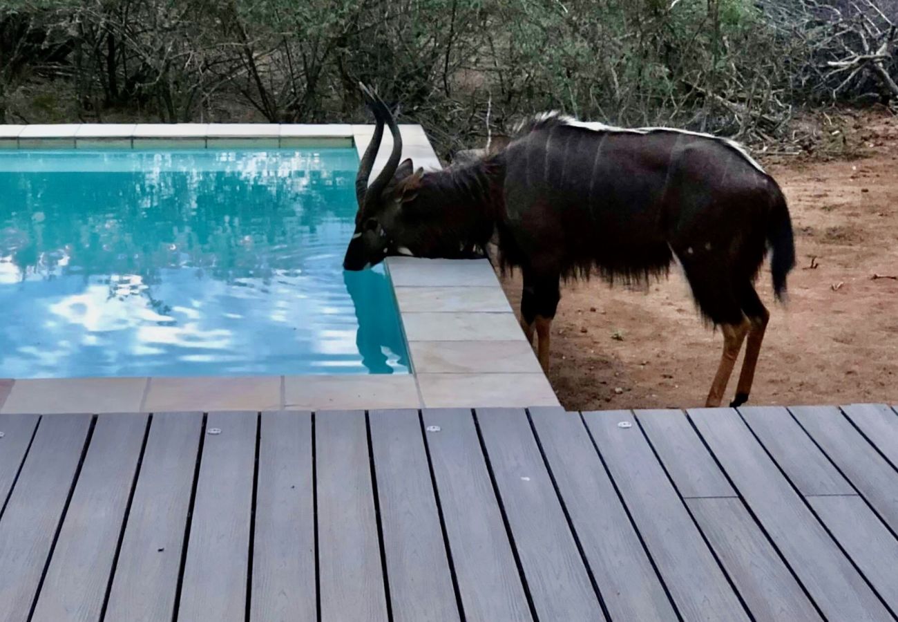 Villa in Hoedspruit - Villa Marula