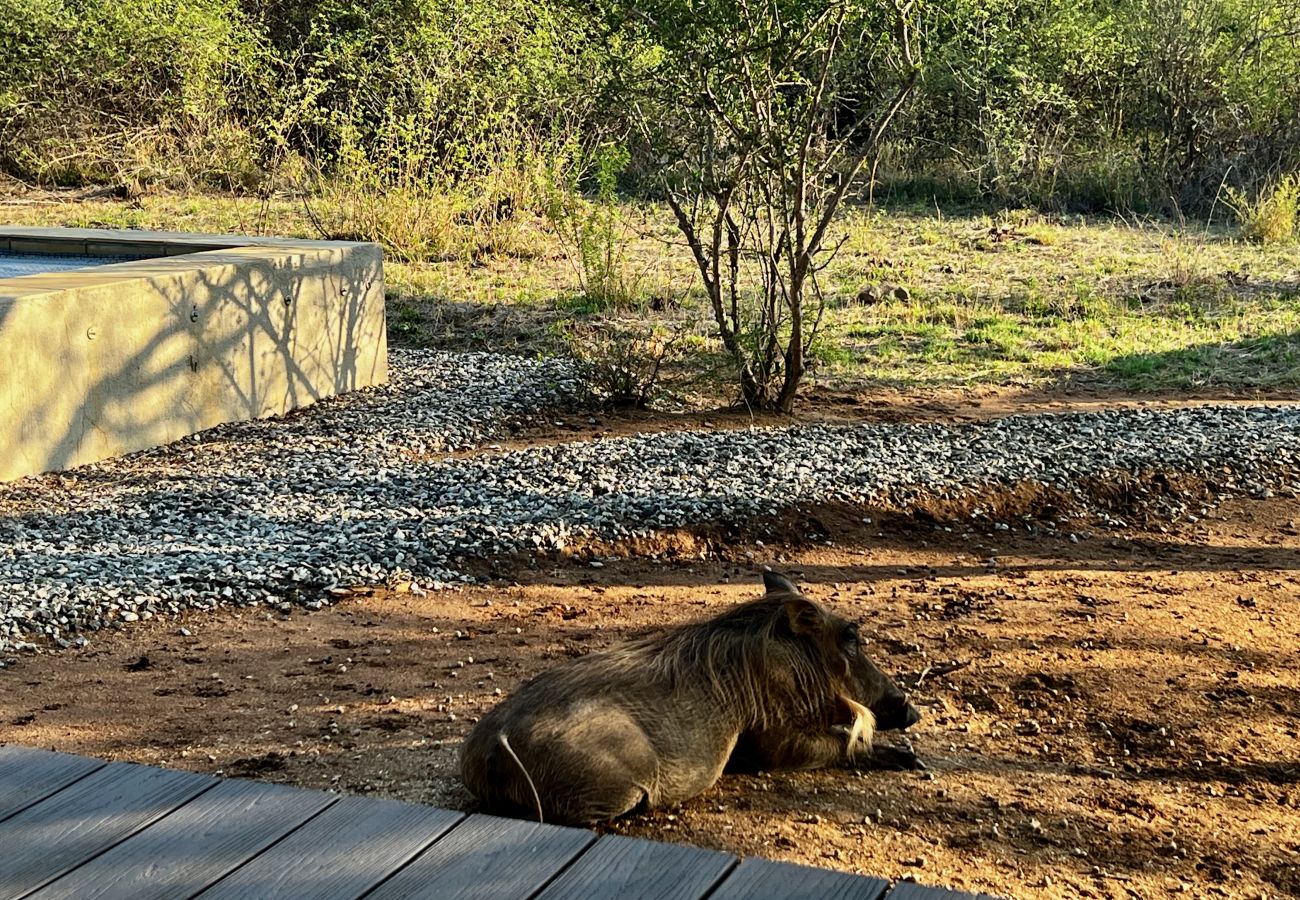 Villa in Hoedspruit - Villa Marula