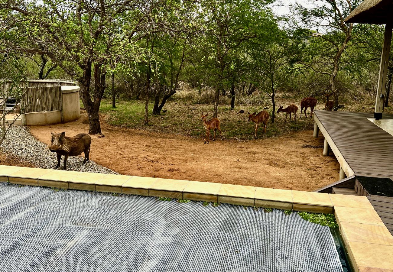 Villa in Hoedspruit - Villa Marula