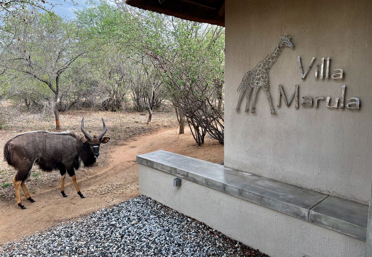 Villa in Hoedspruit - Villa Marula