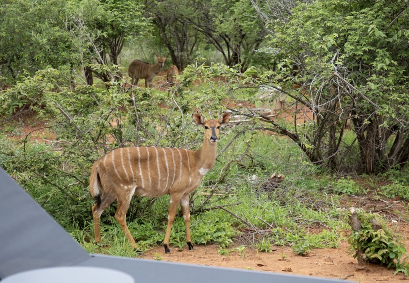 Villa in Hoedspruit - Villa Kolobe